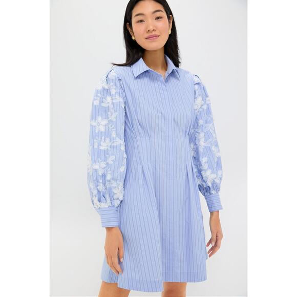 Tuckernuck Dresses & Skirts - TUCKERNUCK Blue Stripe Embroidery Mini Corinne Dress Size XL NWT